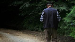 Un anciano paseando, en una imagen de archivo.