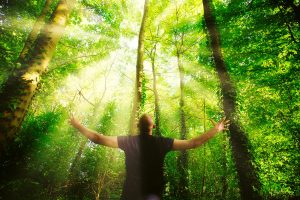 Emociones y Sufrimiento: El Verdadero Secreto de Tu Libertad